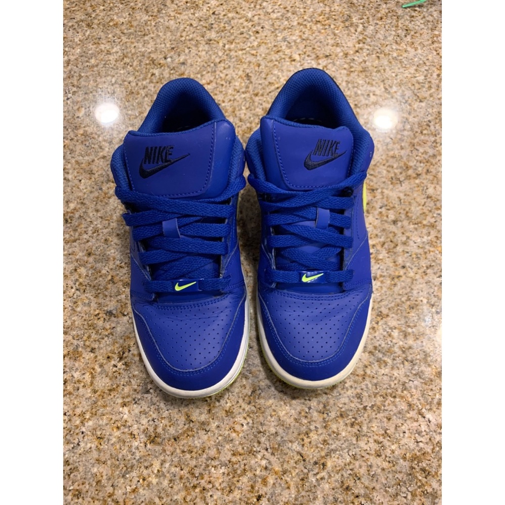 Nike Dunks - low